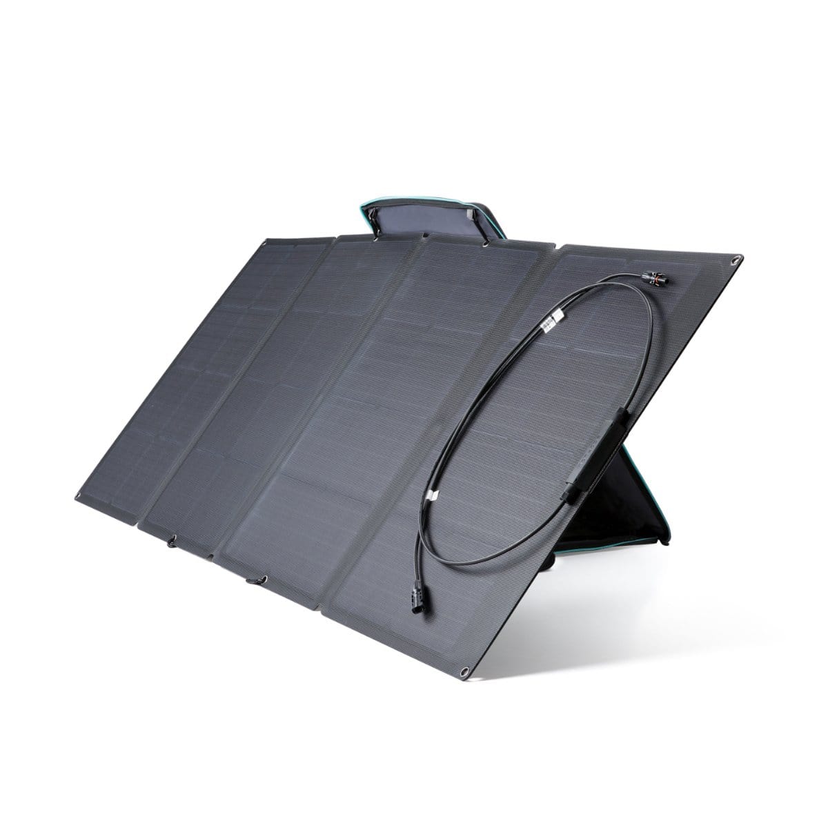 EcoFlow DELTA Solar Generator (PV160W) - Image 6